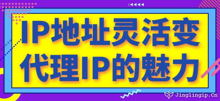 IP地址靈活變：代理IP的魅力